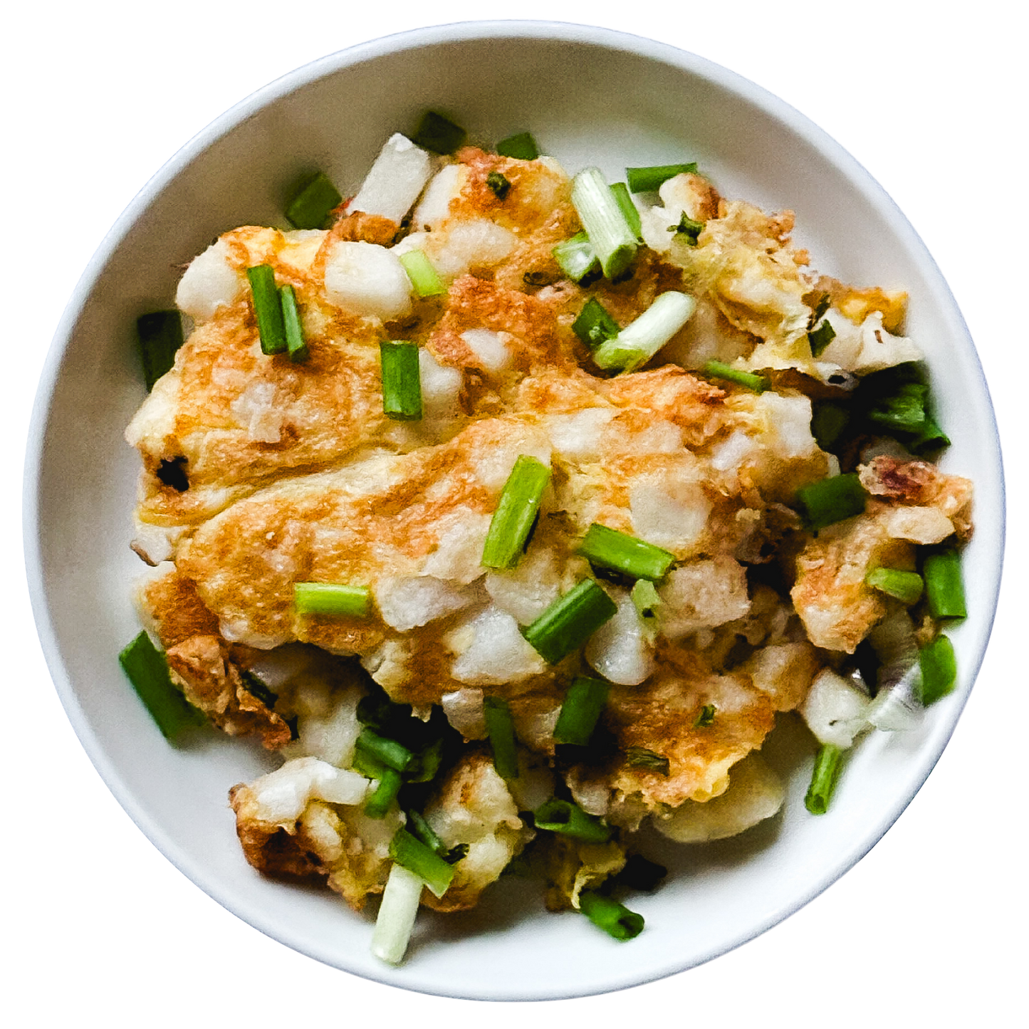 Fried Carrot Cake (White)